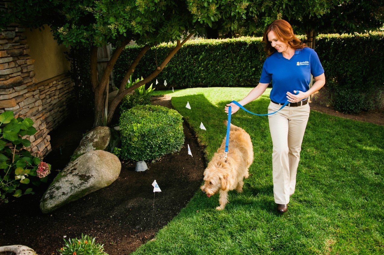 Invisible Fence Cost Protect Your Pet With Boundary Plus® Technology